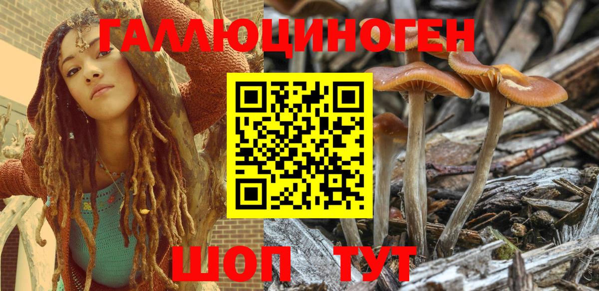 Галлюциногенные грибы Magic Shrooms  Псилоцибиновые грибы мухоморы  Вход с VPN  Владимир 